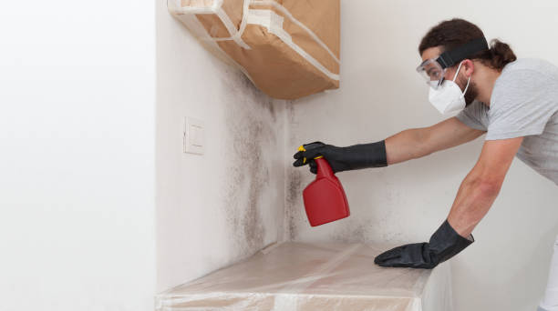 Professional Bathroom Mold Removal technician working in Renovo, PA