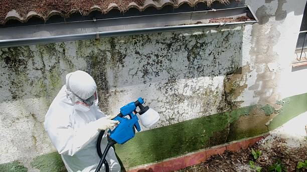 Trusted Mold Remediation service in Renovo, PA - Cheap Mold Removal